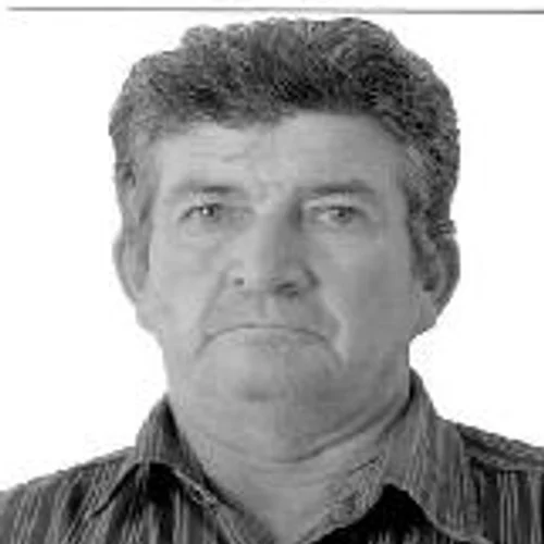 PLINIO DOMINGOS DE CARVALHO