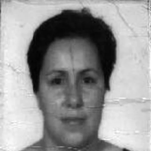 Derenicia