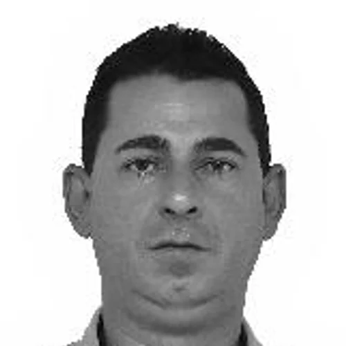 Pato Rouco