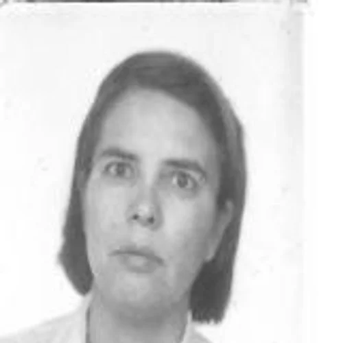 SIRLEI