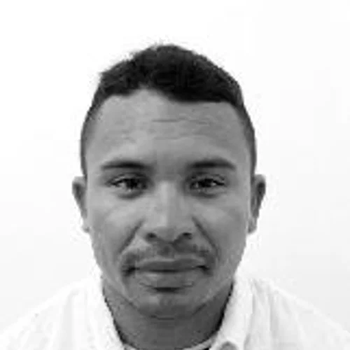 Irmão Flavio
