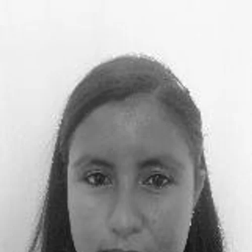 CRISTINA BRASIL