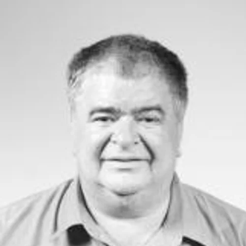 Reginaldo Romanini