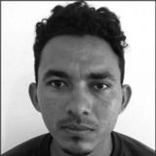 Leão da Juçara