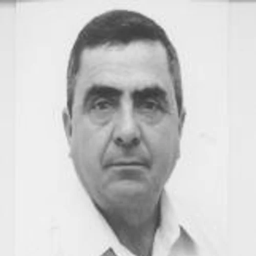 Divino da Oca