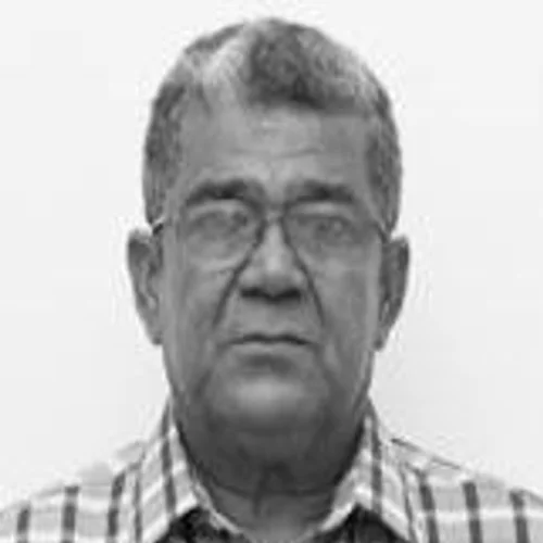 D Vieira