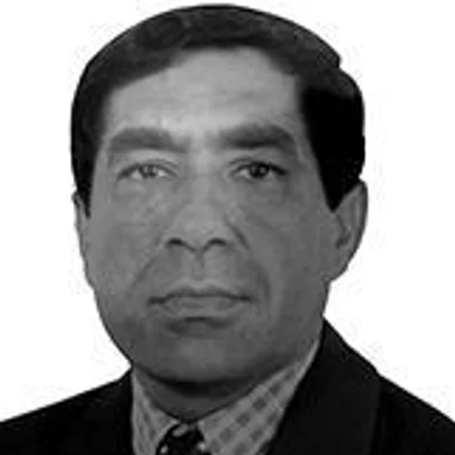 PROFESSOR DIRSON