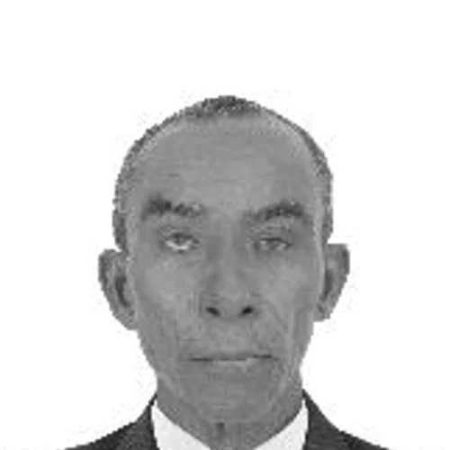 DÃOZINHO