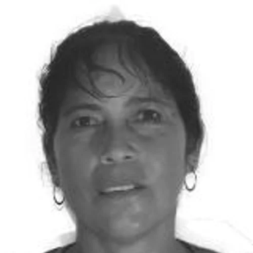 Rosinha