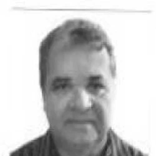 IVO