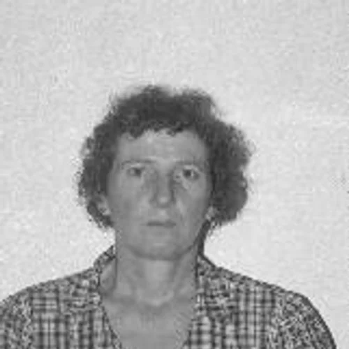 ILSE