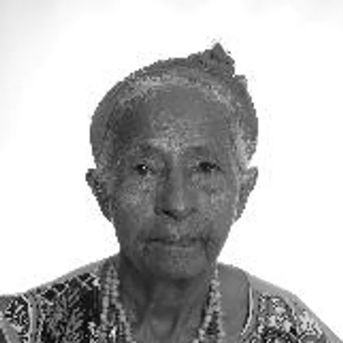 Vozinha