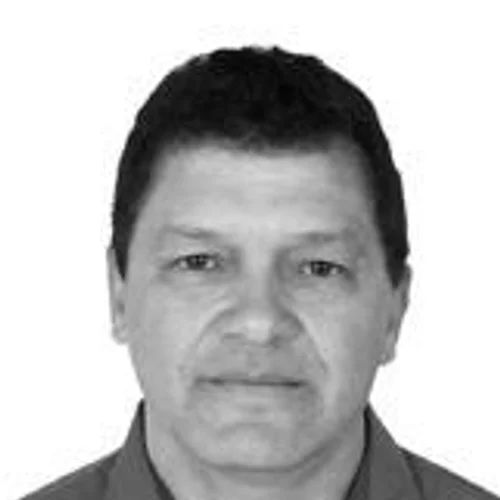 SEDENEI PALMEIRA