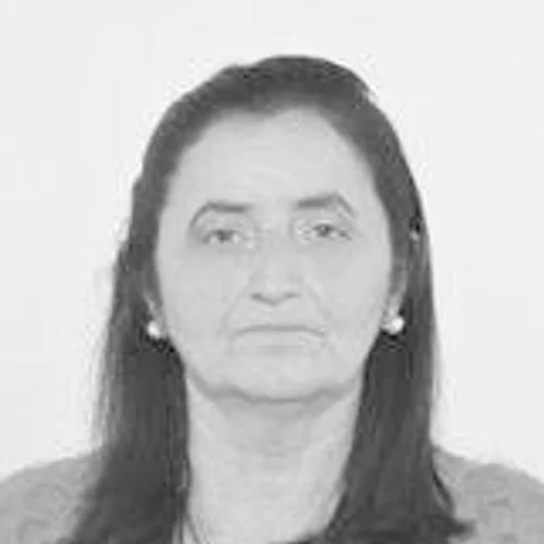Marlei Toledo