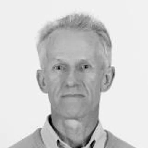 IDILIO LUIZ BOTTESINI