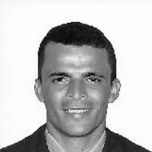 Irmão Ari