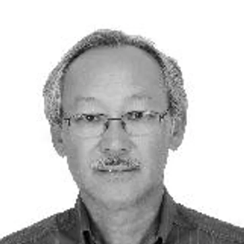 ALDO JAPONES