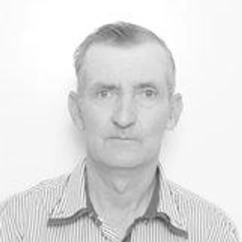 Zé Pintor