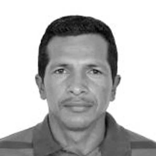 GILIARDE BRASIL