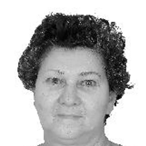 CARMINHA