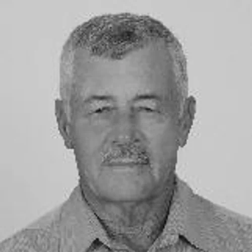 Domicio Simão