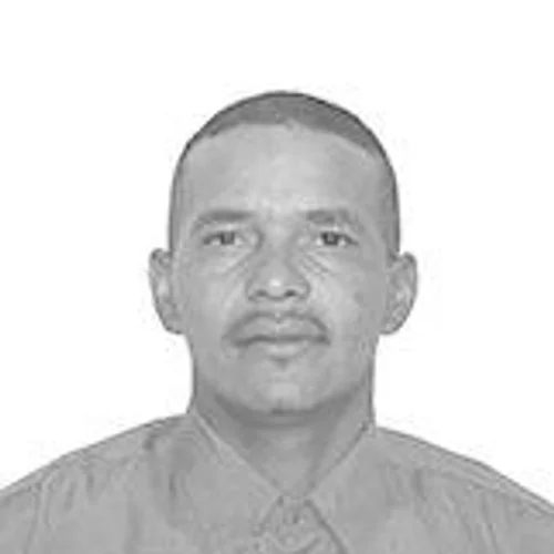 TICO PEDREIRO