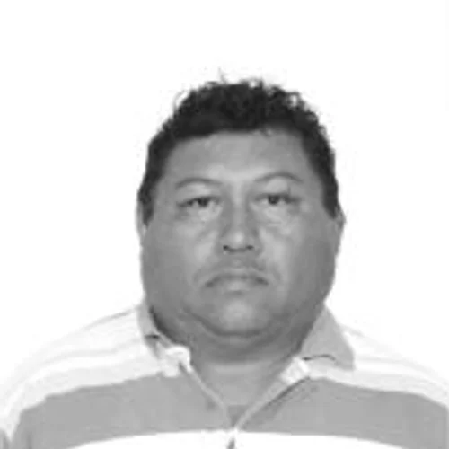 GATO FÉLIX