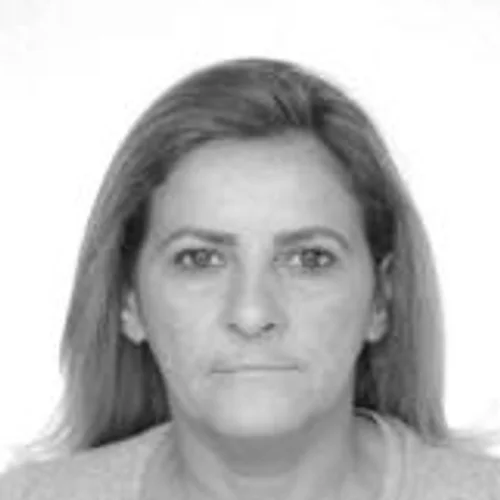 SIRLEI