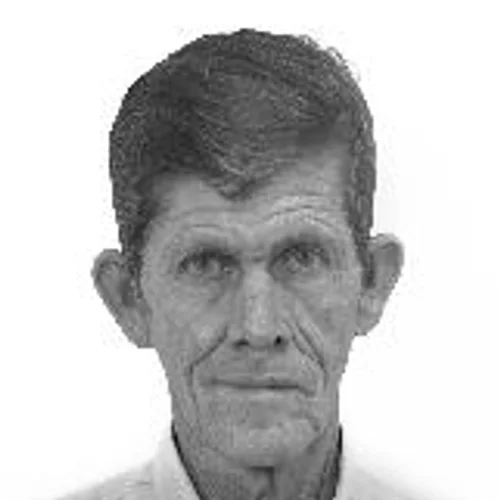 VALDIR FERRAZ
