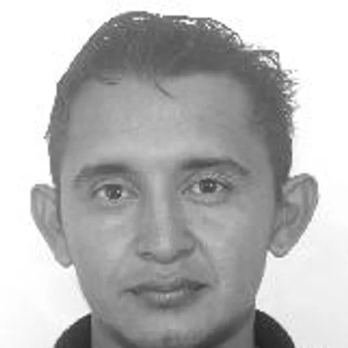 XAROPINHO DA VAN