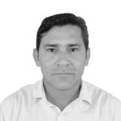 Abacaxi