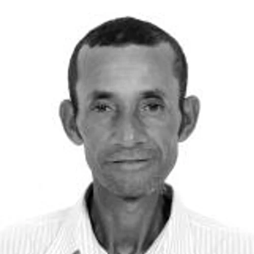Zé Ursina