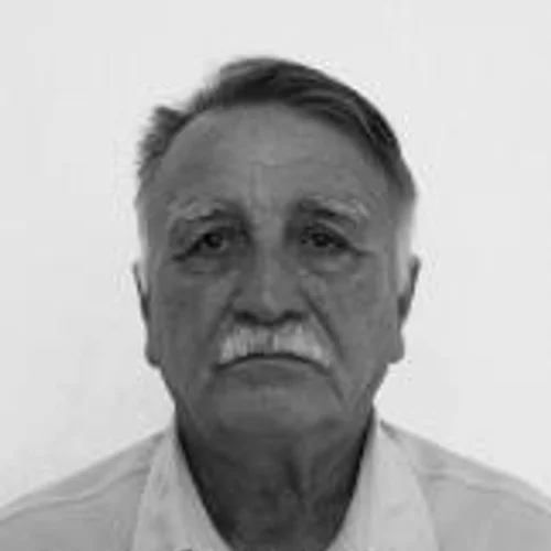 Domingos Arara
