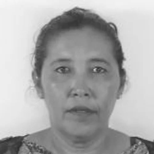 Bolota