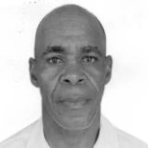 Irmão Flavio