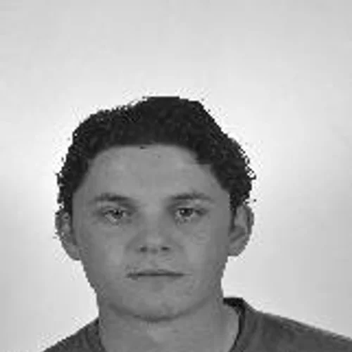 Moises