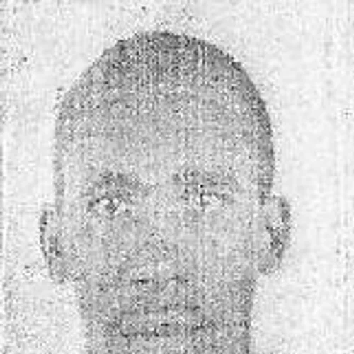 Raimundo de Aurino