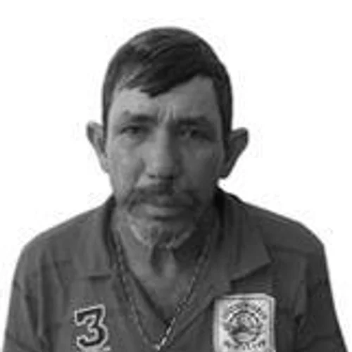 José André Ferreira