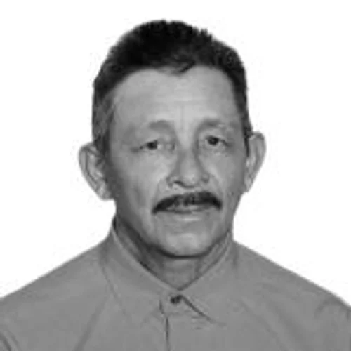Ademar Fontes