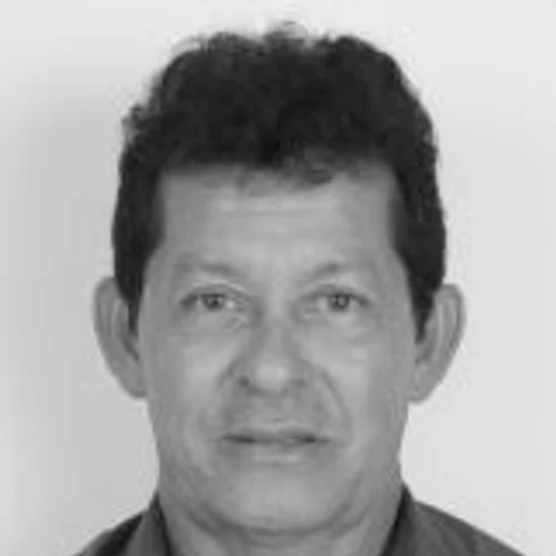 ZÉ ARTEIRO