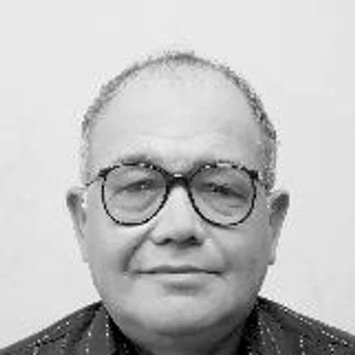 ZÉ ILSON
