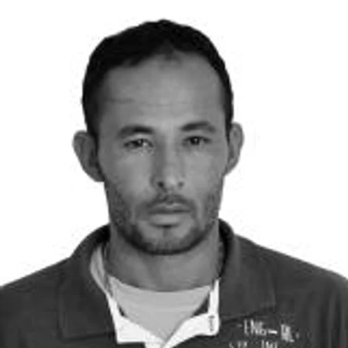 MANOEL PINTOR