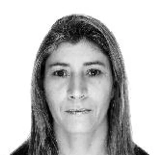 Professora Virley