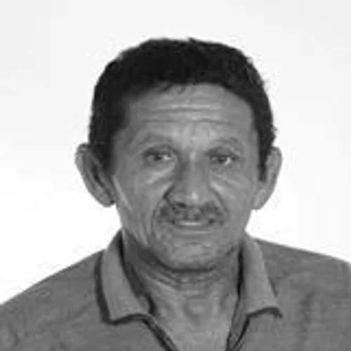 Junior do Baralho