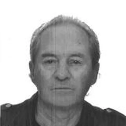 Waldison Marholt - Papagaio