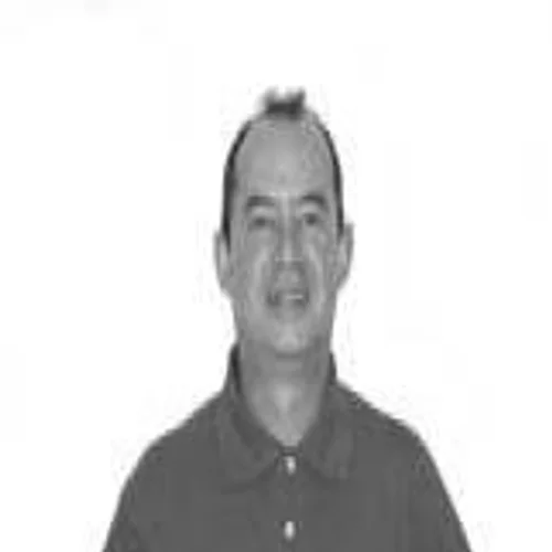 PROFESSOR ELIMAR TELES
