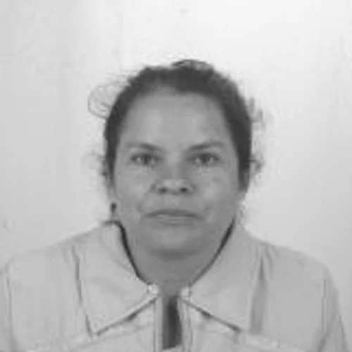 Anilce Gulart