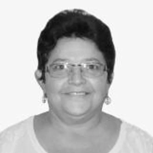 Veramir Mendes