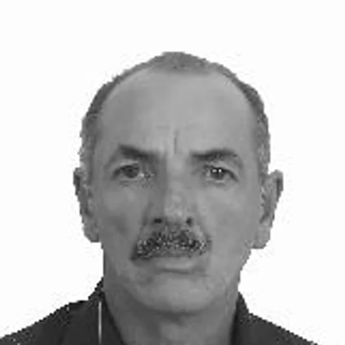 Reinaldo Ferro Velho