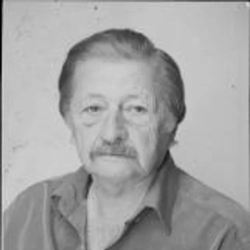 WILSON DE HOLLEBEN